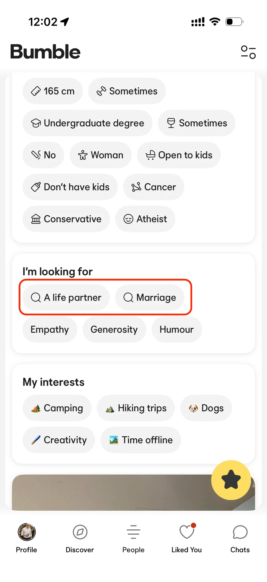 Bumble profile looking-for section with Life partner and Marriage selected